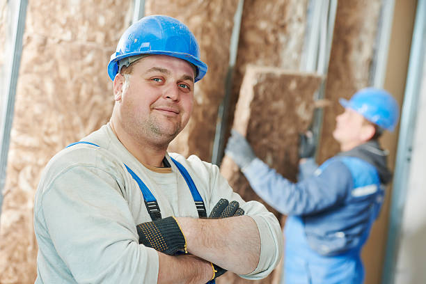 Best Home Insulation Services  in West Bishop, CA