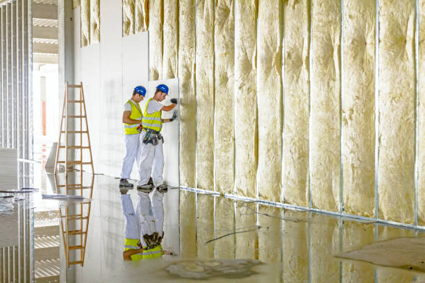 Trusted West Bishop, CA Insulation Contractor Experts